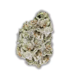 Remexian 27 1 Ffg Francos Fullgas – Produktbild des Anbieters CanDoc