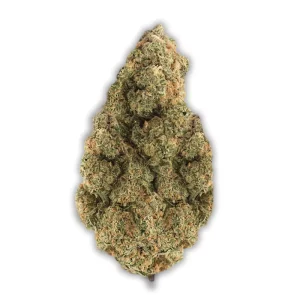 Cannamedical Hybrid Forte NM: Gorilla Zkittlez – Produktbild des Anbieters CanDoc