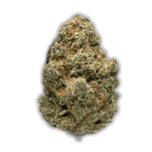 Grünhorn Balanced Nr. 1: Mango Cream Cheese – Produktbild des Anbieters CanDoc