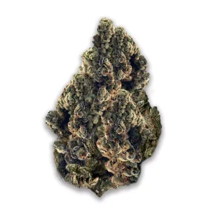 Remexian 33/1 MTL WCK: Wes‘ Coast Kush – Produktbild des Anbieters CanDoc