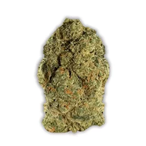 Huala 25/1 CA SCO: Scoops – Produktbild des Anbieters CanDoc