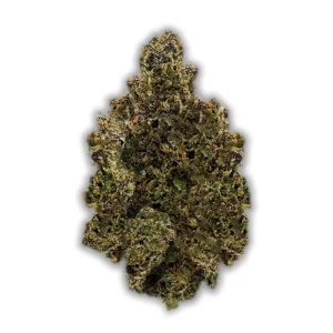 Luana 28/1 Pine Solpina Magic – Produktbild des Anbieters CanDoc