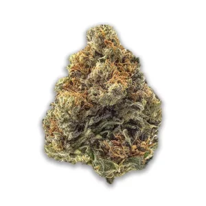 Nimbus Easy 30/1: La Sage – Produktbild des Anbieters CanDoc