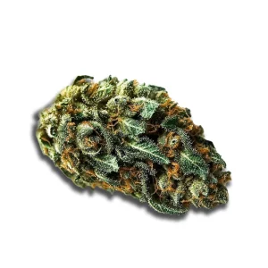 Luana 32/1 Pine: Solpina Magic – Produktbild des Anbieters CanDoc
