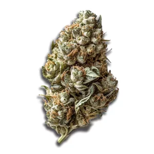 Huala 30/1 CA SCO: Scoops – Produktbild des Anbieters CanDoc