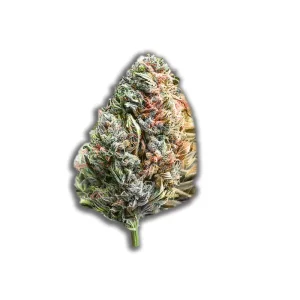 420 Evolution 25/1 CAP: Cap Junky – Produktbild des Anbieters CanDoc