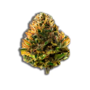 Remexian 30/1 TWE ABR: Alien Breath – Produktbild des Anbieters CanDoc
