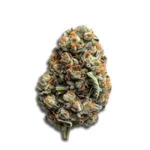 Avaay 23/1 CK: Critical Kush – Produktbild des Anbieters CanDoc
