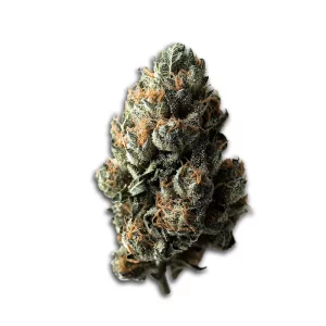 Peace Naturals 31/1 GC: GMO Cookies – Produktbild des Anbieters CanDoc