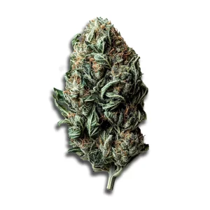 Cannabis Flos Weeco 25/1: Frosted Lemon Angel – Produktbild des Anbieters CanDoc