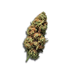 enua 30/1 LHZ CA: Lemonade Haze – Produktbild des Anbieters CanDoc