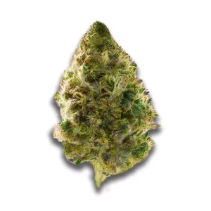TRUU HS 26:01: Citron Cookies – Produktbild des Anbieters CanDoc