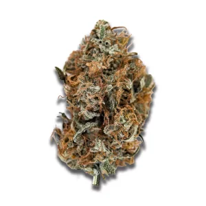 Cannabis flos 23/1 CND Pink Kush Canify – Produktbild des Anbieters CanDoc