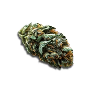 Cannabis flos 1/14 LS Ku. Maluti CBD Canify – Produktbild des Anbieters CanDoc