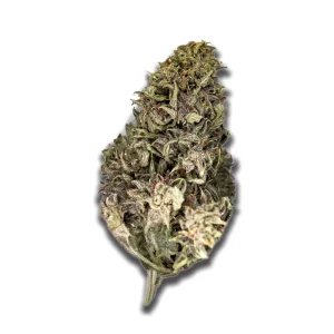 Soma OG 24/1 CC: Black Cherry Punch – Produktbild des Anbieters CanDoc