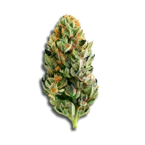 Avaay 27/1 Jfp Jet Fuel Pie – Produktbild des Anbieters CanDoc