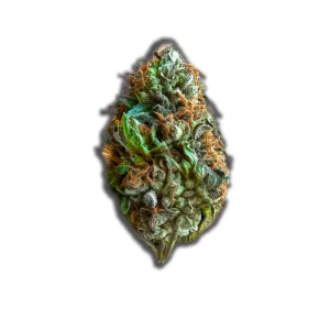 IMC Cannabisblüten RWT THC27: White Rhino – Produktbild des Anbieters CanDoc