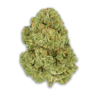 Pedanios 10/13 MBE- CA: Moon Berry – Produktbild des Anbieters CanDoc