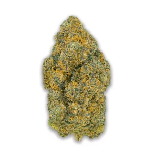 Pedanios 25/1 Flh-Ca Frozen Lemon Haze – Produktbild des Anbieters CanDoc