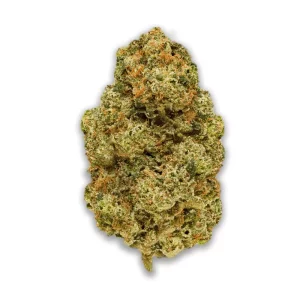 Pedanios 26/1 EHD-CA: Electric Honeydew – Produktbild des Anbieters CanDoc