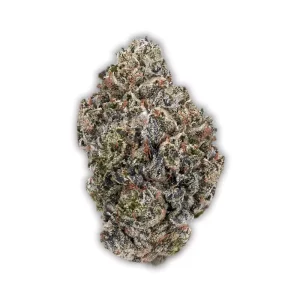 Remexian 24/1 GCC BBG: GG4 x Blueberry – Produktbild des Anbieters CanDoc