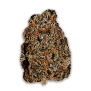 Medical Saints 24/1 SRD: Sugar Dream – Produktbild des Anbieters CanDoc