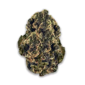 Big Dreams 21/1 ALB OGC: OG Cheese – Produktbild des Anbieters CanDoc