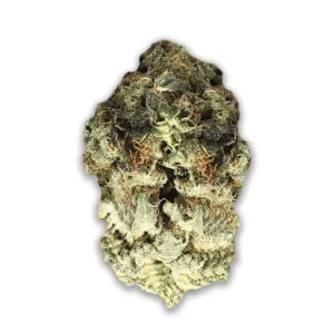 mediproCan Lunaris 25/1: Capri Haze – Produktbild des Anbieters CanDoc
