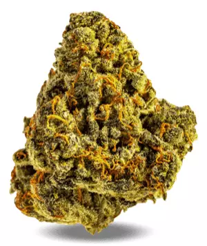 AphriaRX Cannabisblüten THC28 AMH – Amnesia Haze – Produktbild des Anbieters Dr. Ansay