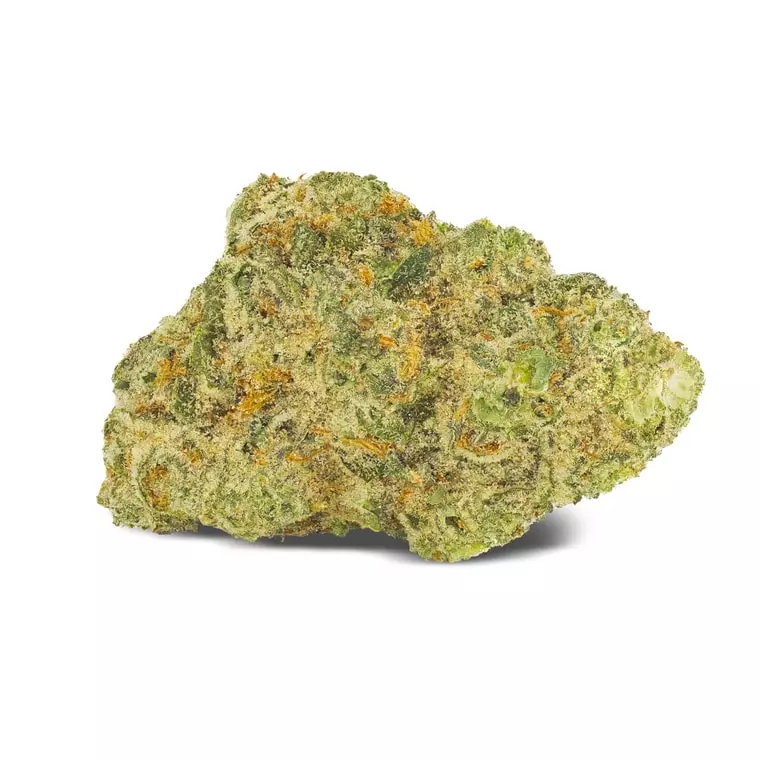 San Raf 31/1 CFK – Campfire Kush – Produktbild des Anbieters Dr. Ansay