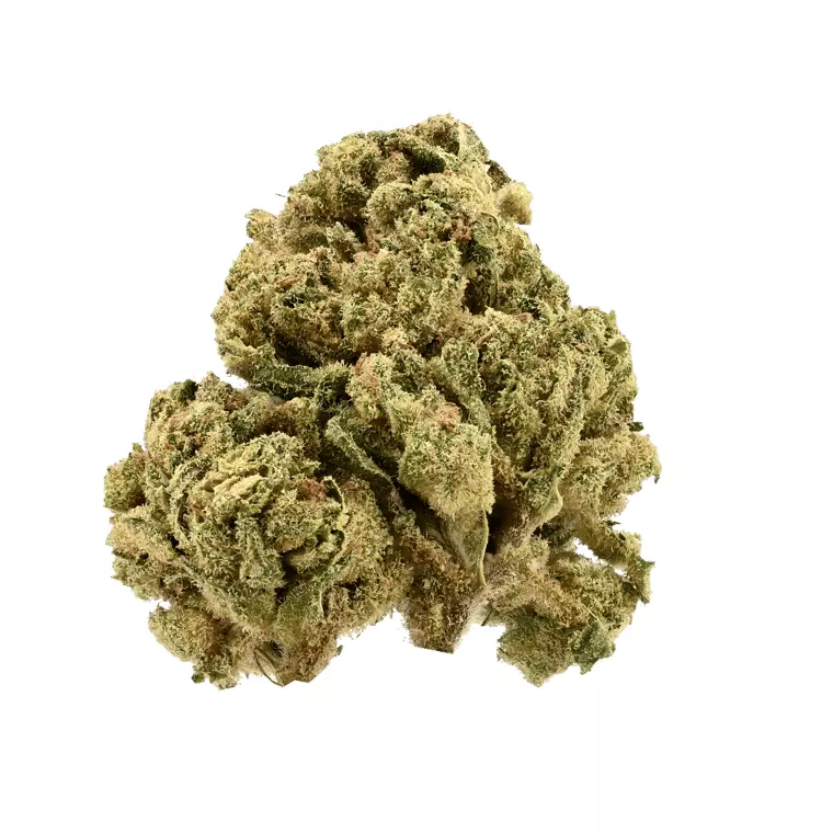 Demecan GT Strong Drop 27/1 – Girl Scout Kush – Produktbild des Anbieters Dr. Ansay