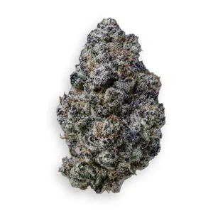Barongo 24/1 BC – Black Caviar – Produktbild des Anbieters Dr. Ansay
