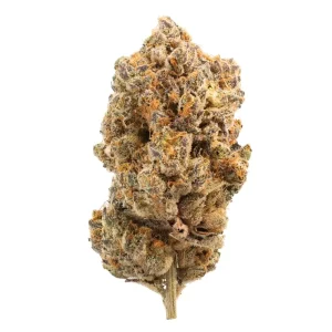 TREATZ LC 30/1 – Lemon Cheescake – Produktbild des Anbieters Dr. Ansay