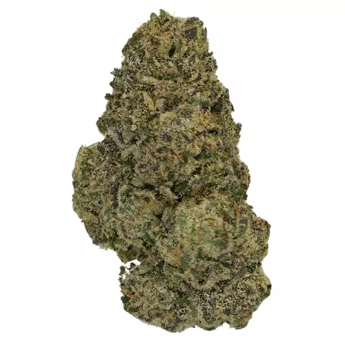 THC akut 28 PM – Permanent Marker – Produktbild des Anbieters Dr. Ansay