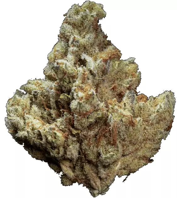 enua 25/1 E85 – G13 Ultra – Produktbild des Anbieters Dr. Ansay