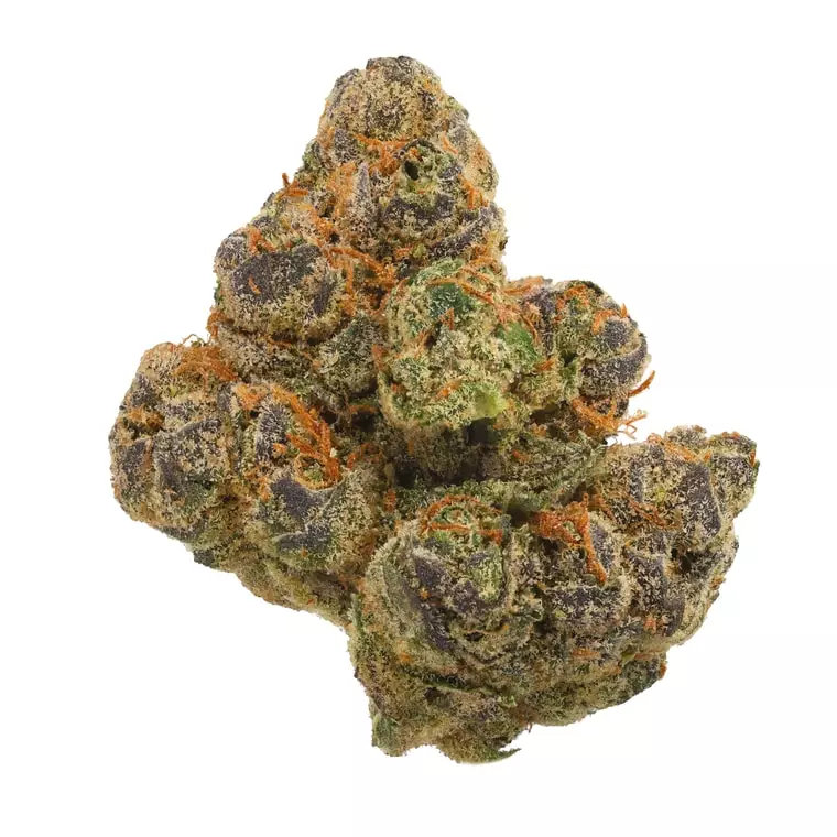 Hi Society MM 26/1 – Money Maker – Produktbild des Anbieters Dr. Ansay