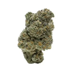 Apollo 24/1 JGN – Think Fast – Produktbild des Anbieters Dr. Ansay