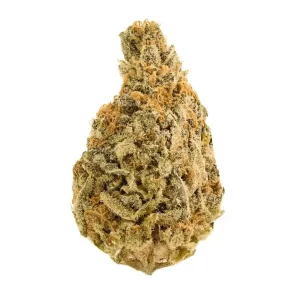 Hi Society GP 31/1 – Grape Pie – Produktbild des Anbieters Dr. Ansay