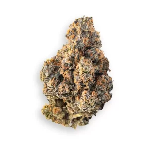 Ritualist 32/1 BK – Babo Kush – Produktbild des Anbieters Dr. Ansay