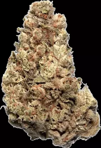 enua 22/1 CCK CA – Cold Creek Kush – Produktbild des Anbieters Dr. Ansay