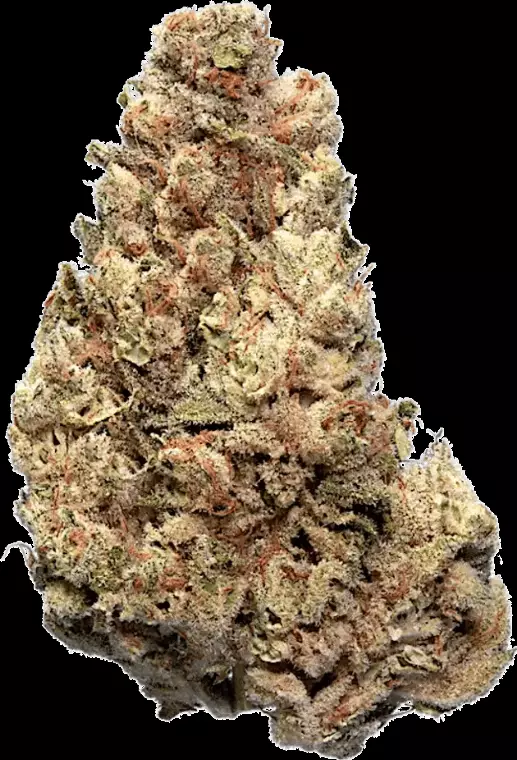 enua 22/1 CCK CA – Cold Creek Kush – Produktbild des Anbieters Dr. Ansay