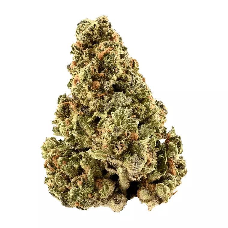 Truu LX 24:01 – GMO Cookies x Kush Mints – Produktbild des Anbieters Dr. Ansay