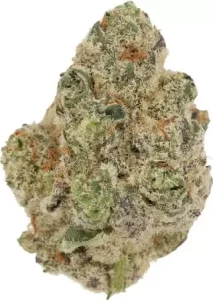 Cannamedical Indica Classic ZAF – Biscotti Mintz – Produktbild des Anbieters Dr. Ansay