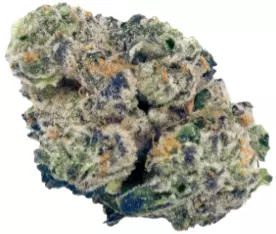 Canopy KMI 28/1 – Kush Mints – Produktbild des Anbieters Dr. Ansay