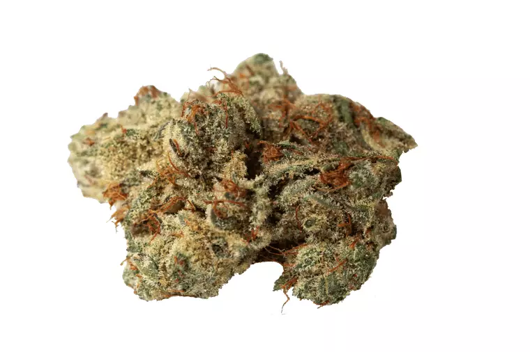 V-LUE FaZ9 27/1 – FalconZ – Produktbild des Anbieters Dr. Ansay
