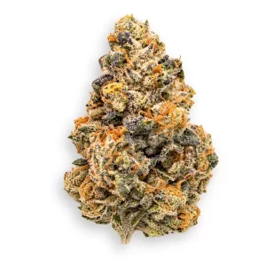 Buuo 24/1 SB (smalls) – Sticky Bath – Produktbild des Anbieters Dr. Ansay