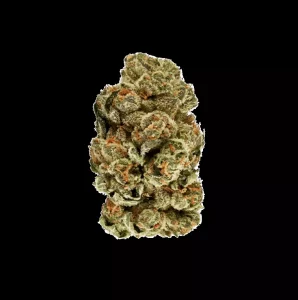 slouu 22/1 ZKS CA – Z Kush – Produktbild des Anbieters Dr. Ansay
