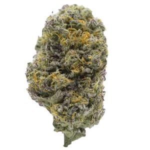 Barongo 26/1 VPR – Lemon Viper Mimosa – Produktbild des Anbieters Dr. Ansay