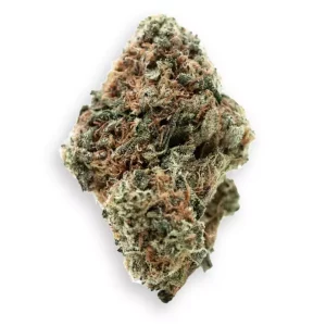 Barongo 30/1 ZP – Zesty Parm – Produktbild des Anbieters Dr. Ansay