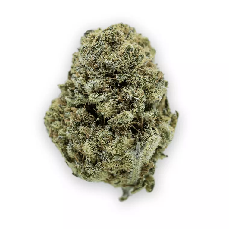 Barongo 26/1 FB – Frosted Sweet Tooth – Produktbild des Anbieters Dr. Ansay
